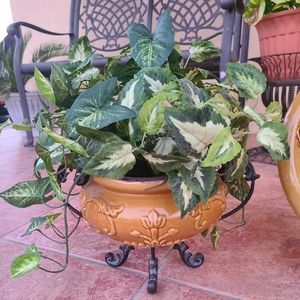 Tuscan Fleur De Lis Living Decorative Bowl